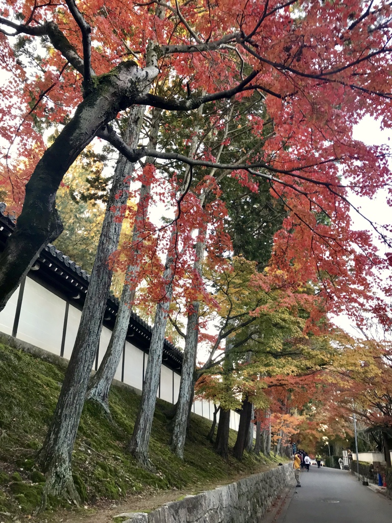 千年の都の佇まい