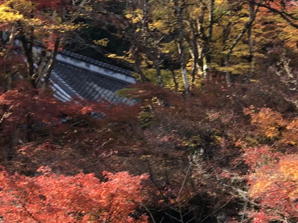 大洞院の秋