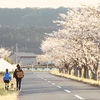 散歩道