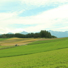 緑の大地