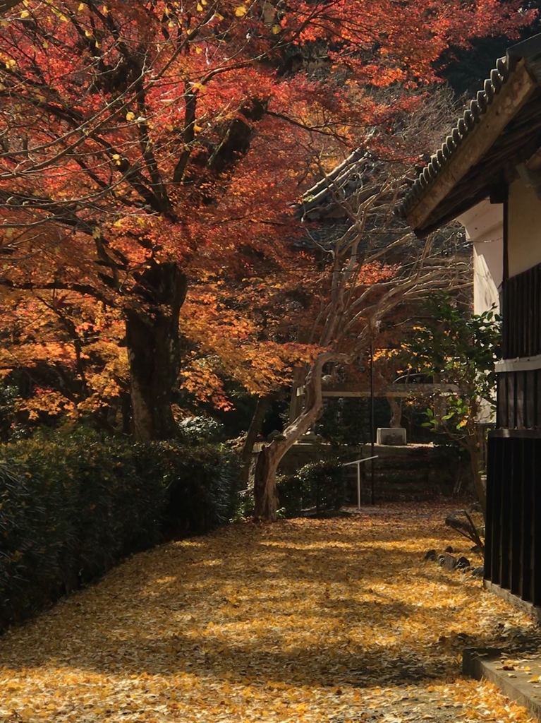 都への憧憬