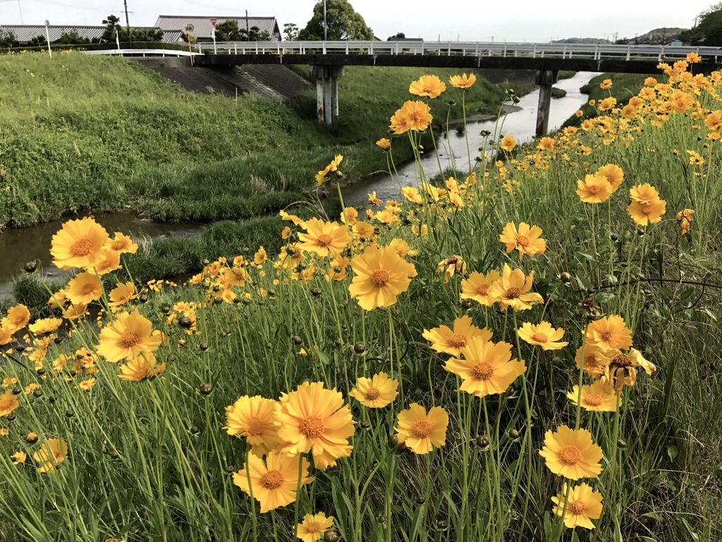 宮橋