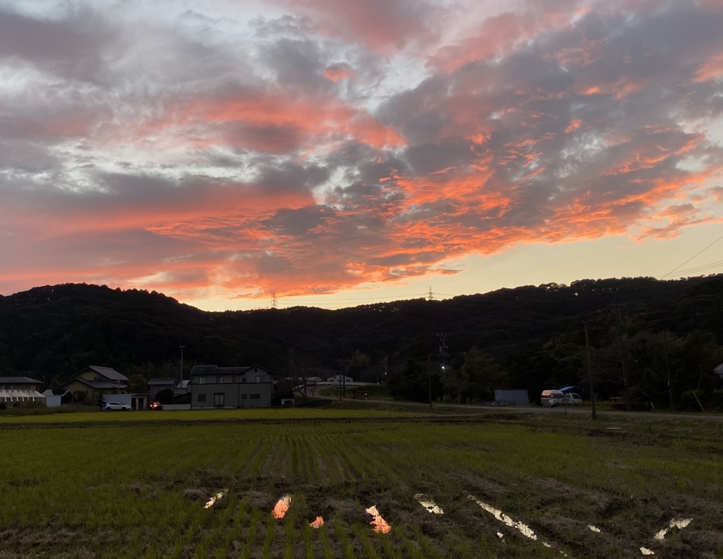 今日の夕焼け