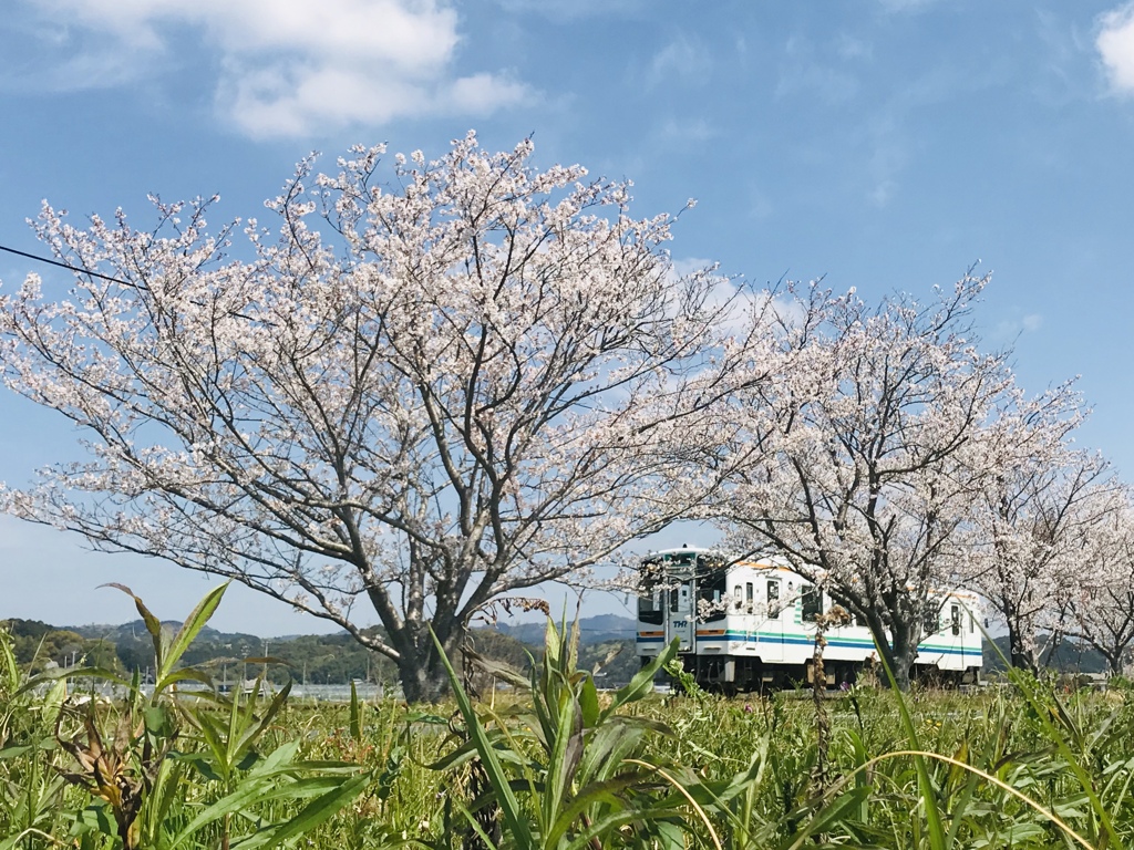 春風の誘い