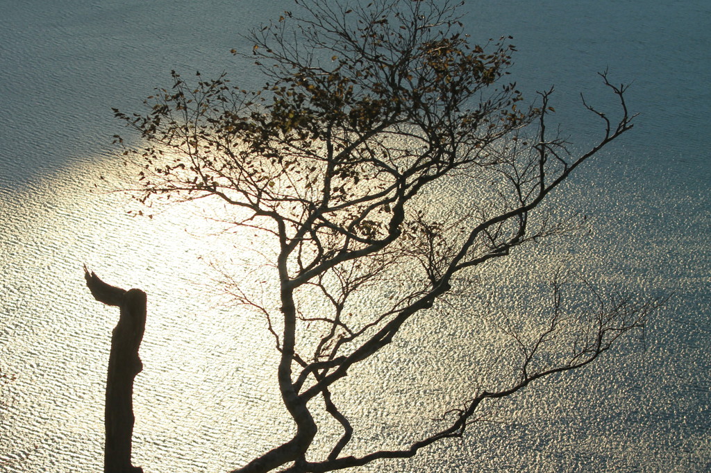 Sunrise Shadow
