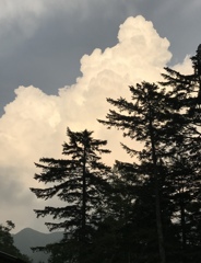 夏山の空気