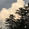 夏山の空気