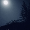 朧月夜