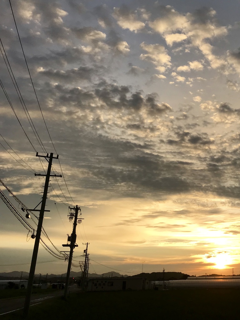 秋来たる