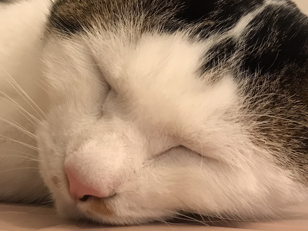 くつろぎのひと時