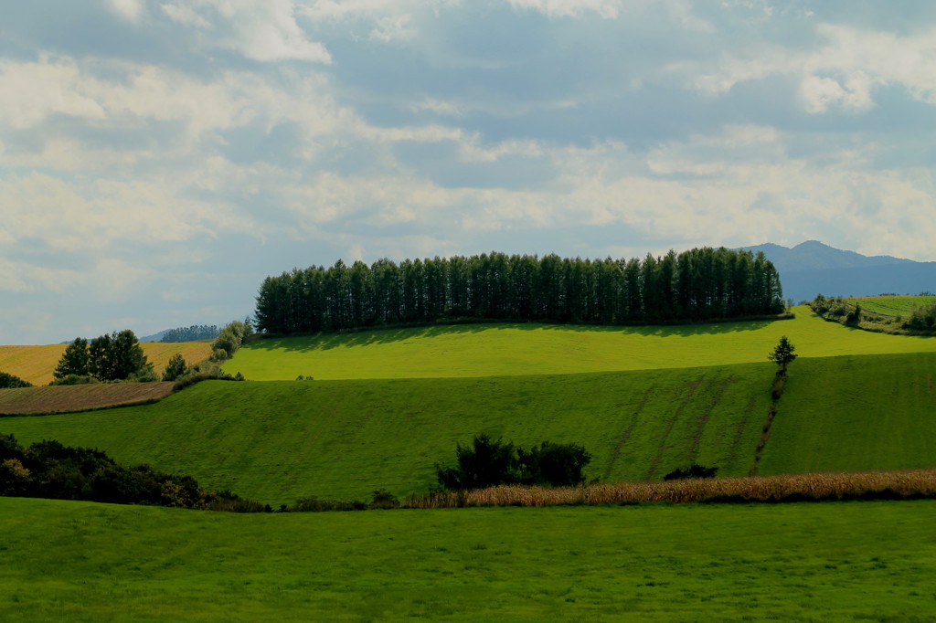Monument Hill