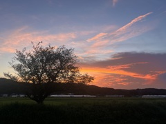夏の夕暮れ