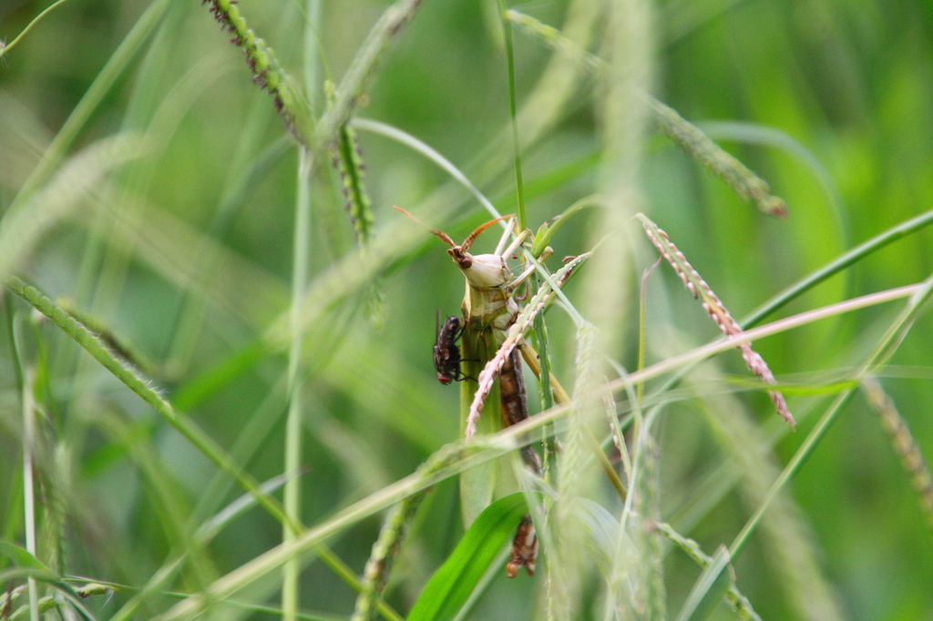 もう、２度と、動かない。　IMG_2156a