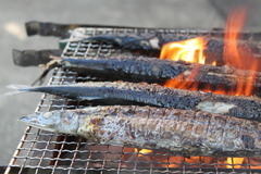 焼きサンマ　