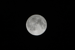 DSC00968
