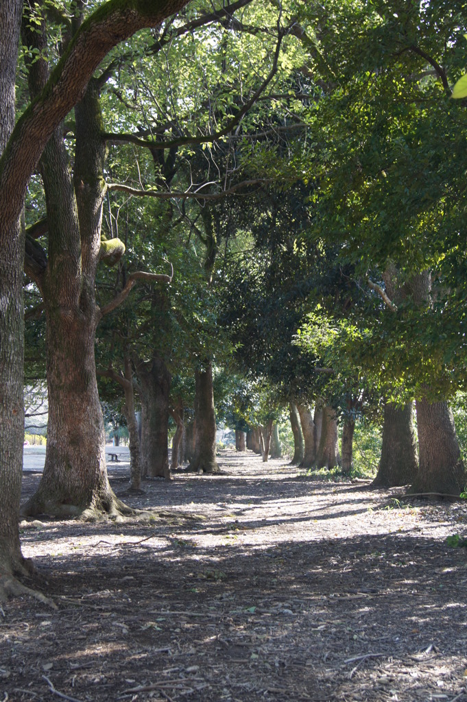 DSC00231