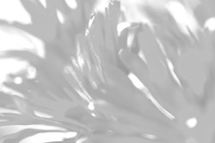 草