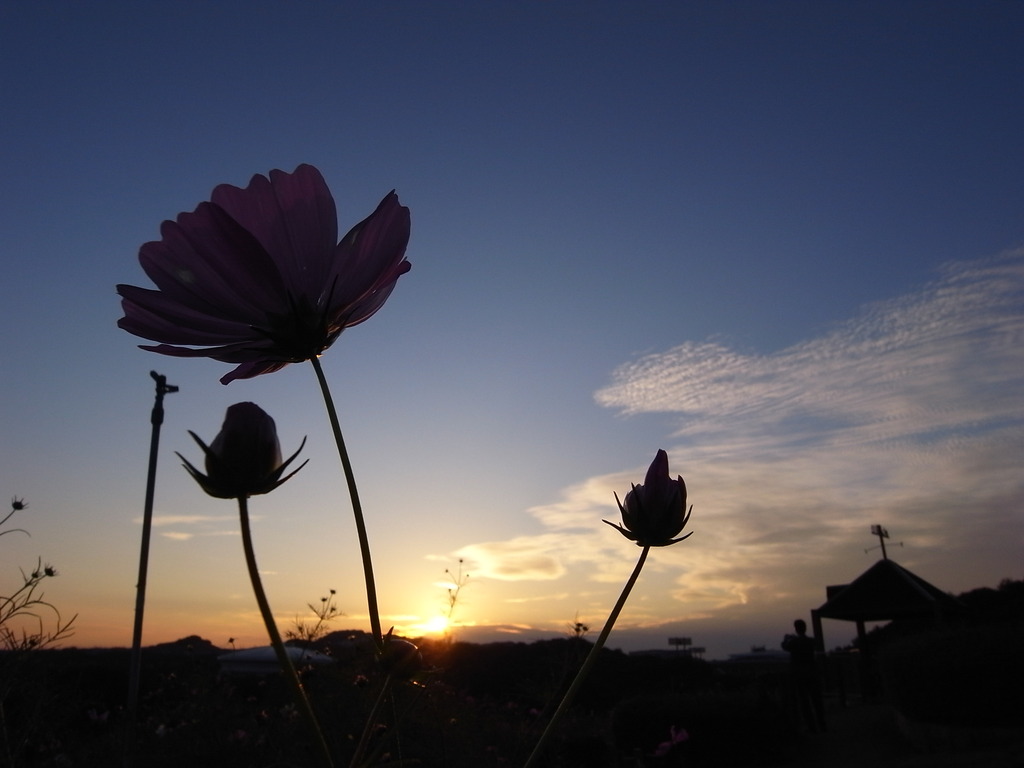 明日も晴れるかな