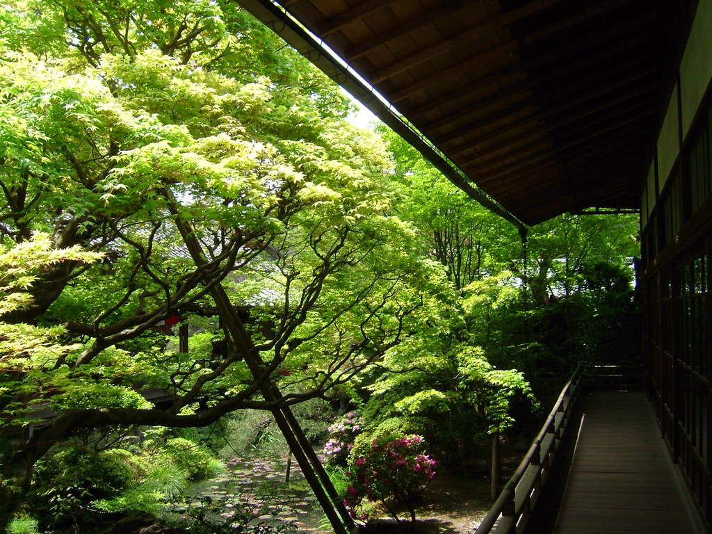 京都にて