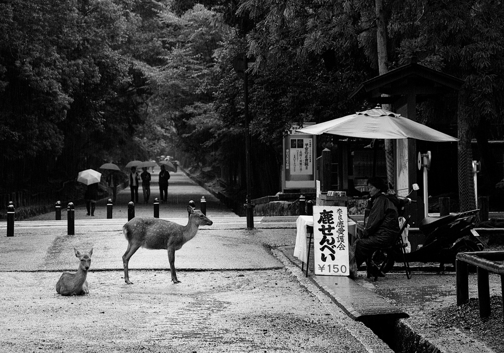 nara_01