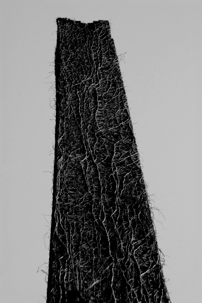 monolith
