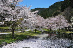 ２０１１年春
