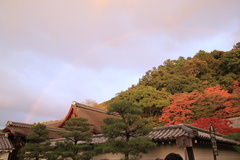 南禅寺@RAINBOW