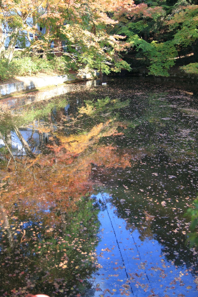 清水寺 りふれくと
