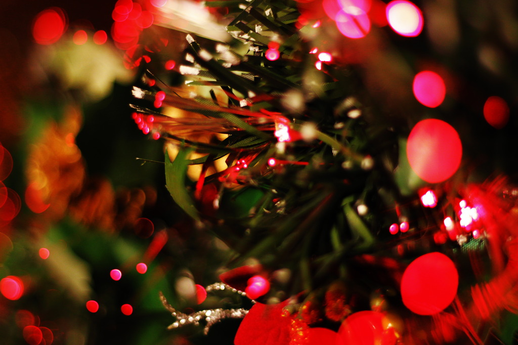 今年もX'masツリー