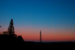 D40x_8051