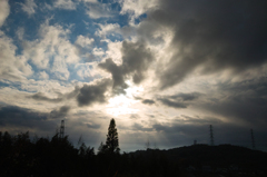 SDIM0379