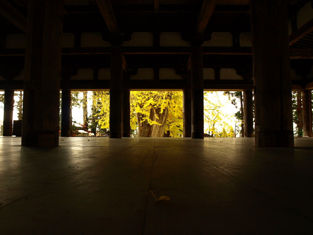 新宮熊野神社長床と大銀杏