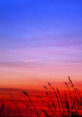 昼と夕方の狭間