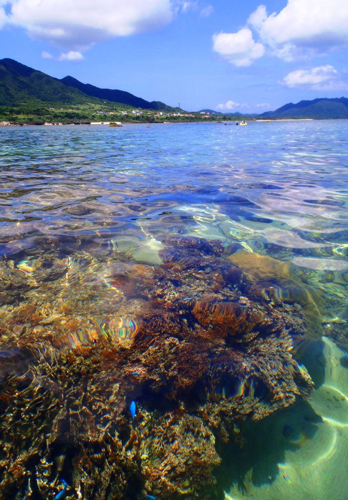 石垣島・米原ビーチのパラダイス