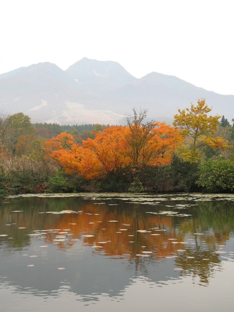 いもり池の秋