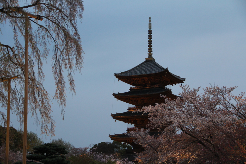 東寺