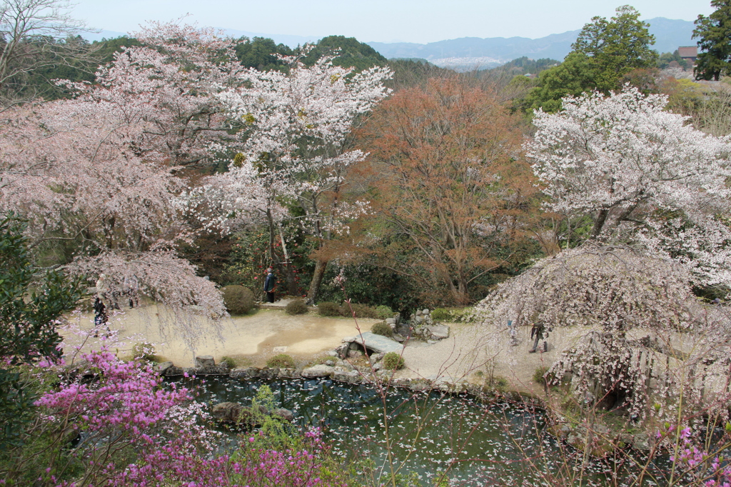 吉野