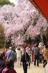 平安神宮