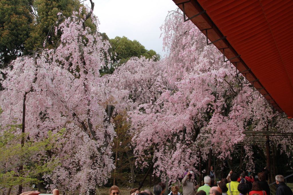 平安神宮