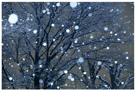 雪をありがとう。