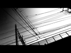 電線1
