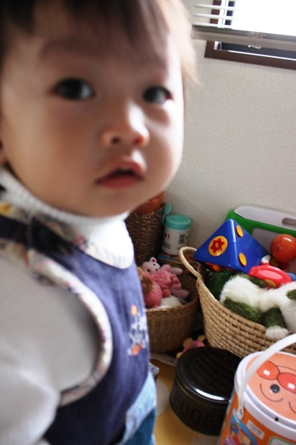 おもちゃ大好き