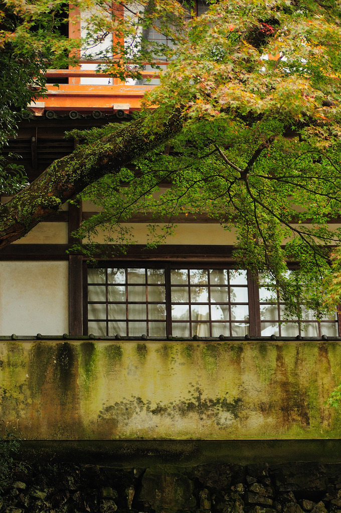 gallery05