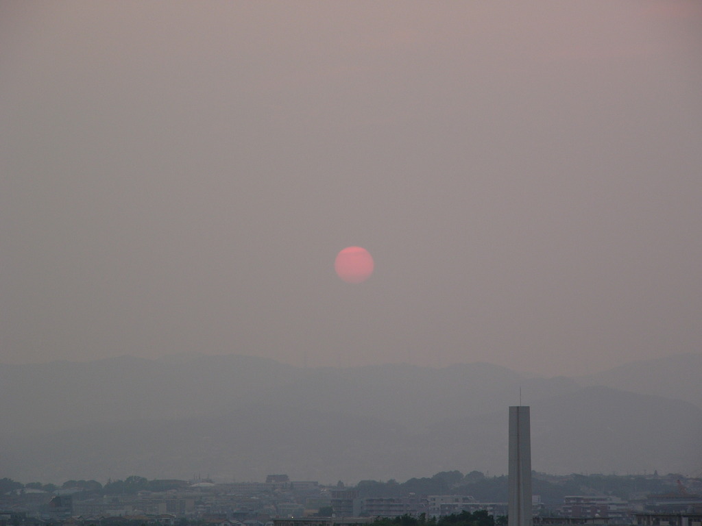 靄