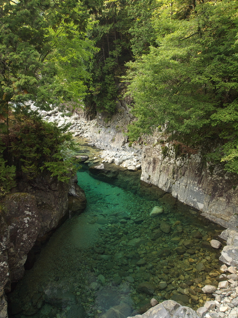 青と緑の淵