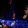 SHOOTING STAR NIGHTS 2009