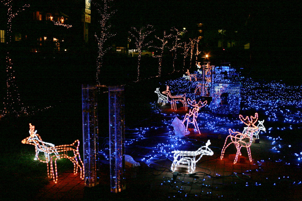 SHOOTING STAR NIGHTS 2009
