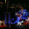 SHOOTING STAR NIGHTS 2009