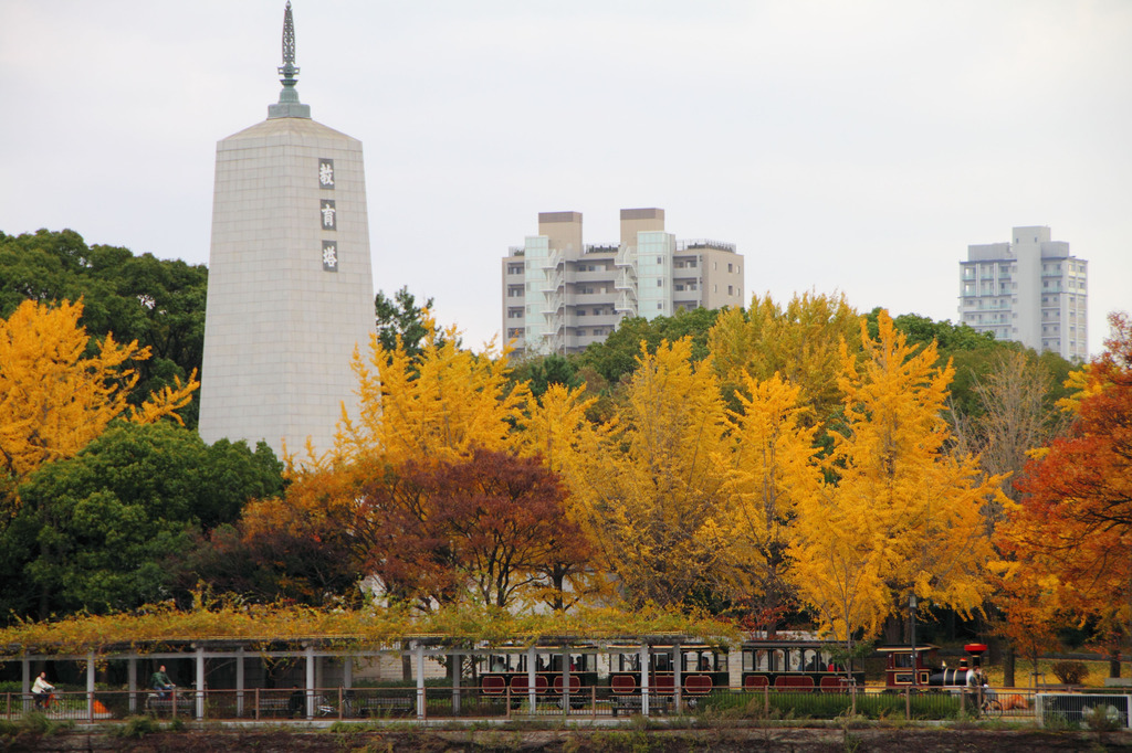 銀杏