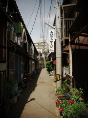 新潟・古町の路地裏